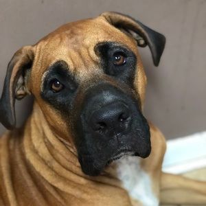 Meet your Posher, April